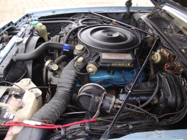 81 CNb - 19 81 CNb - 19