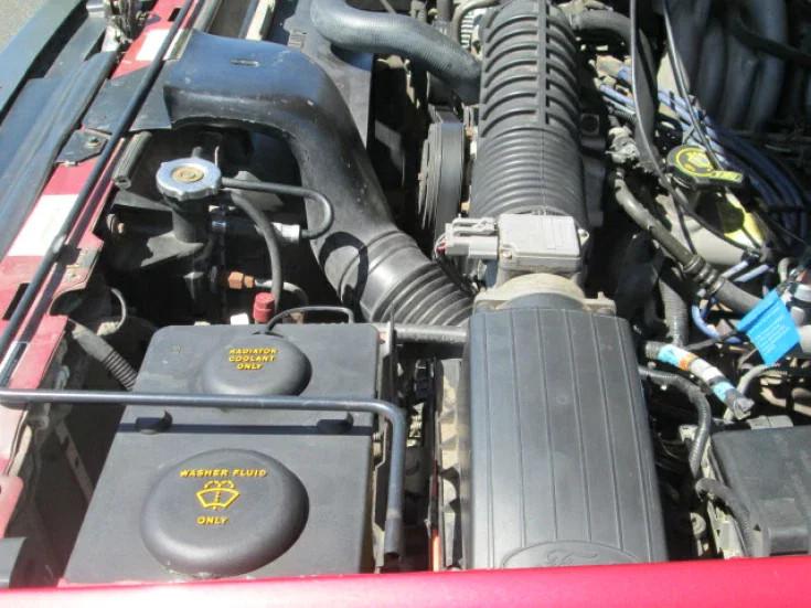 95 FBr - 19 95 FBr - 19