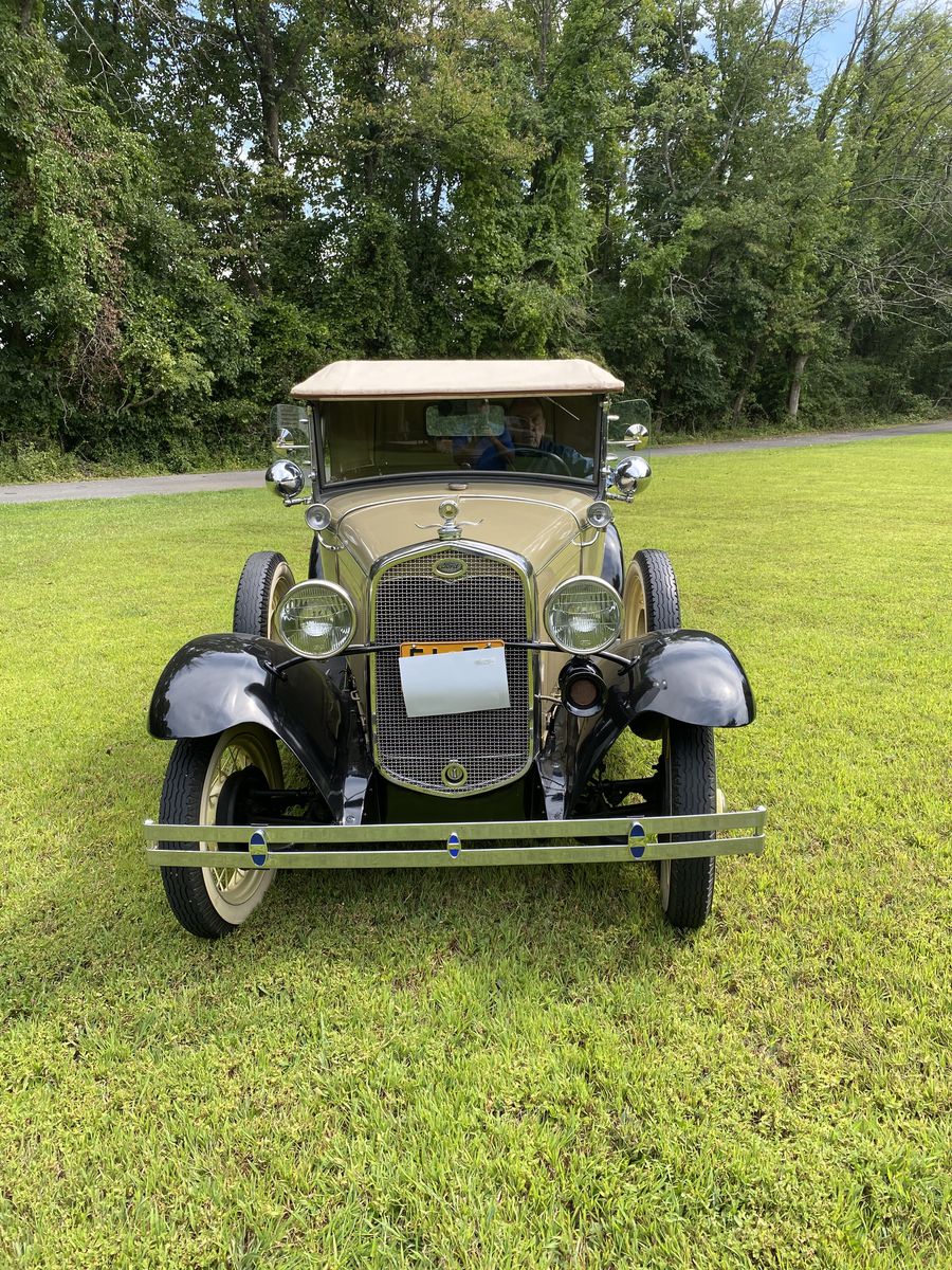 31 FMAR - 3 31 FMAR - 3