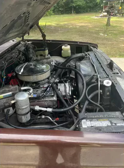 82CC10b - 19 82CC10b - 19