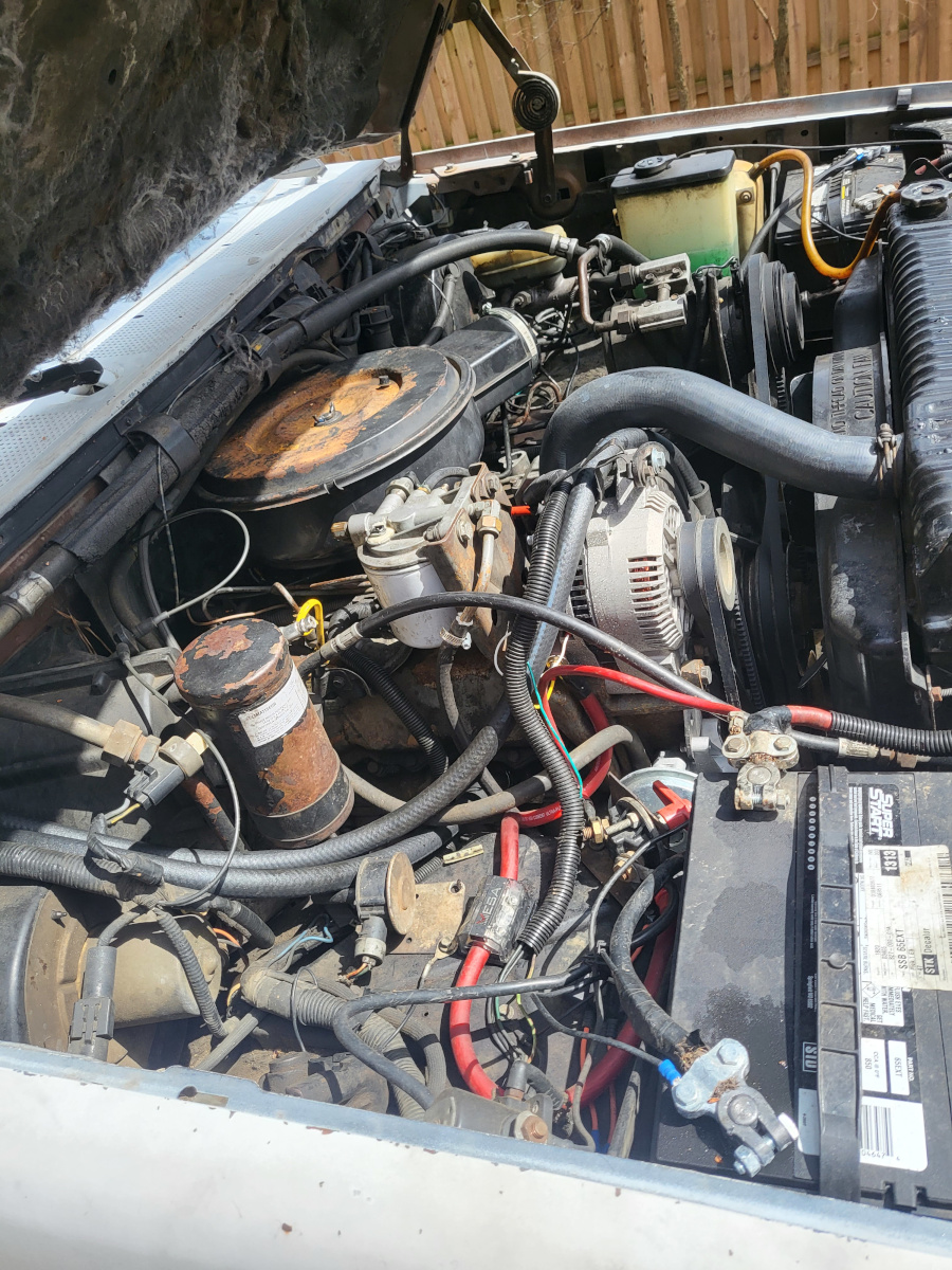 89 FF350 - 19 89 FF350 - 19