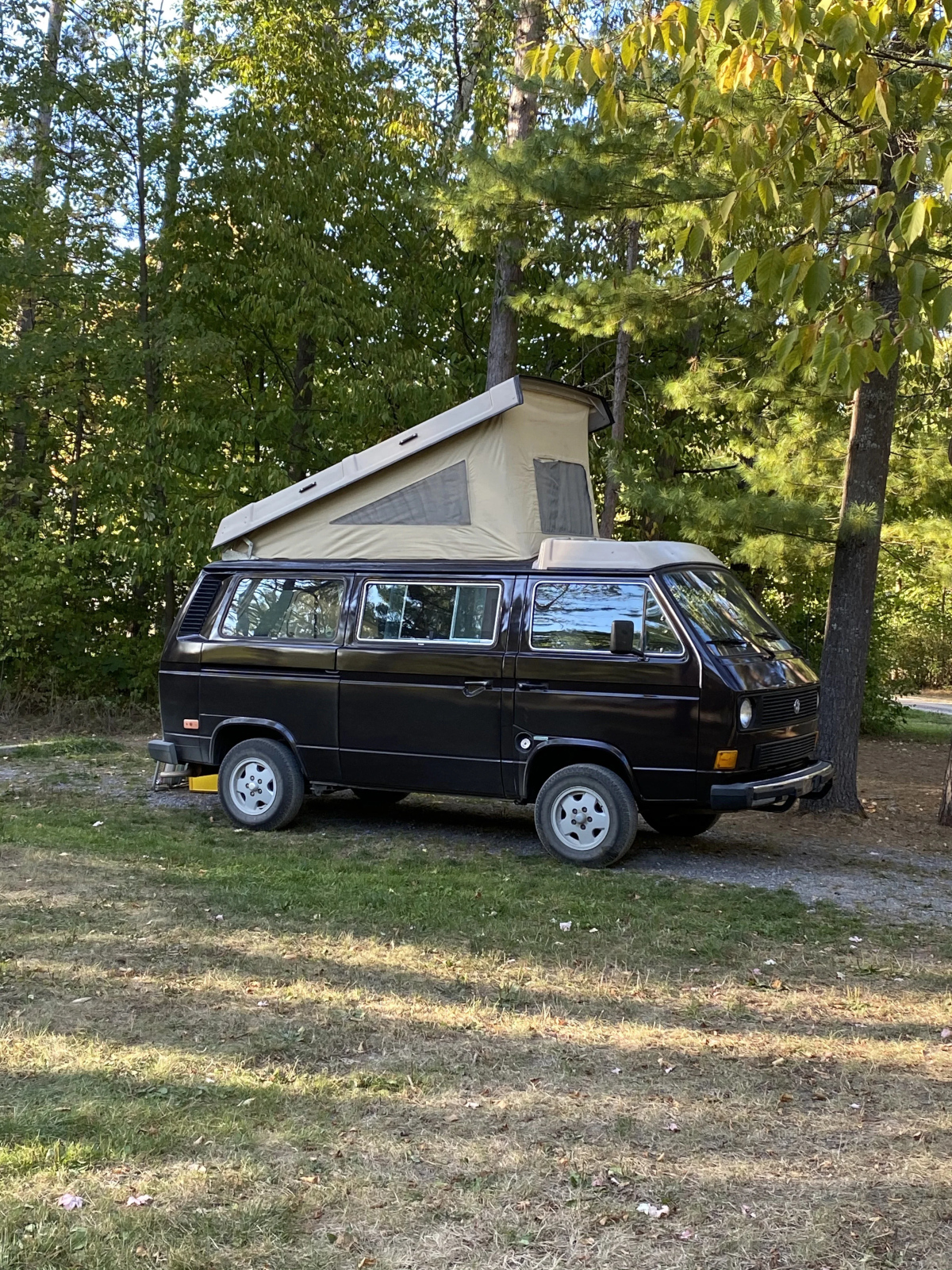 85 VVWb - 5