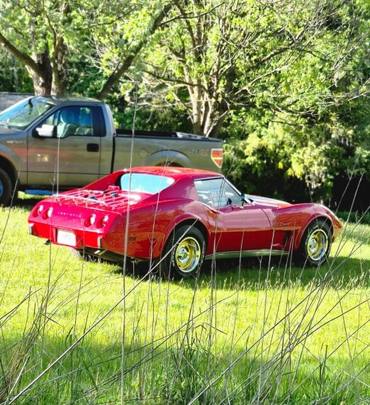 75 CCSr - 3 75 CCSr - 3