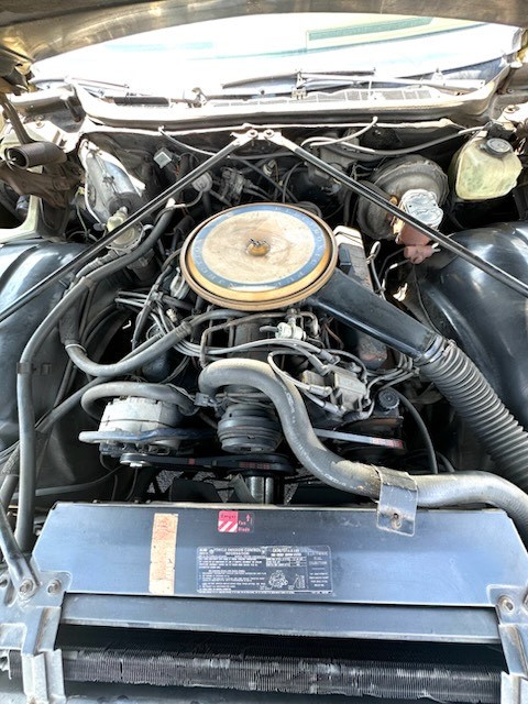 76 CSDVg - 9 76 CSDVg - 9