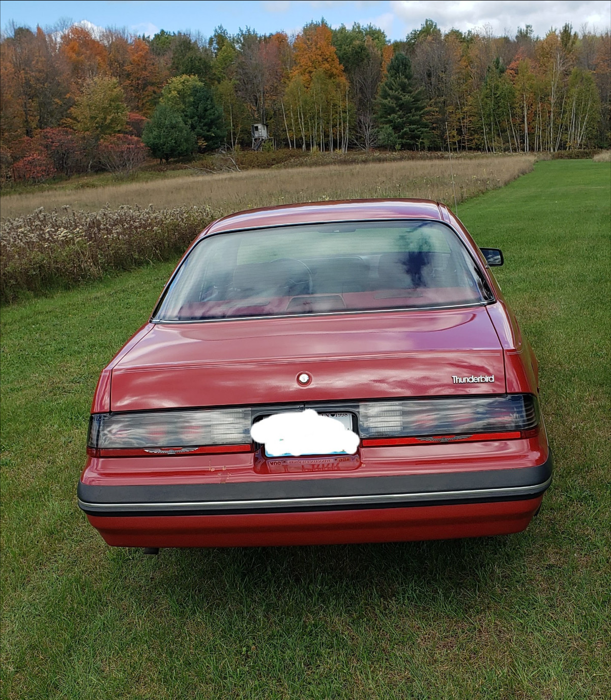 87 FTBr - 4