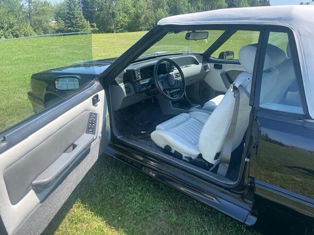 89 FMGTCb - 8 89 FMGTCb - 8