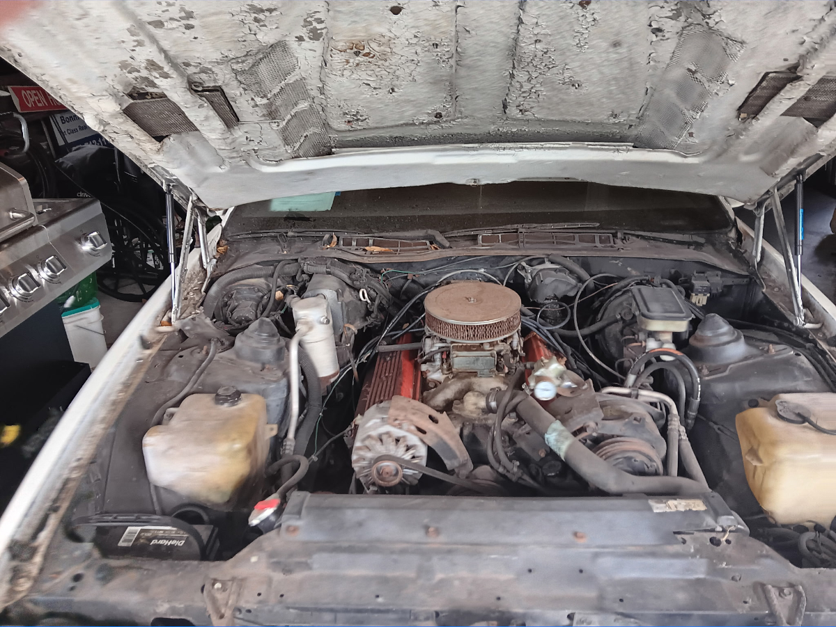 85 CCZ28w - 8