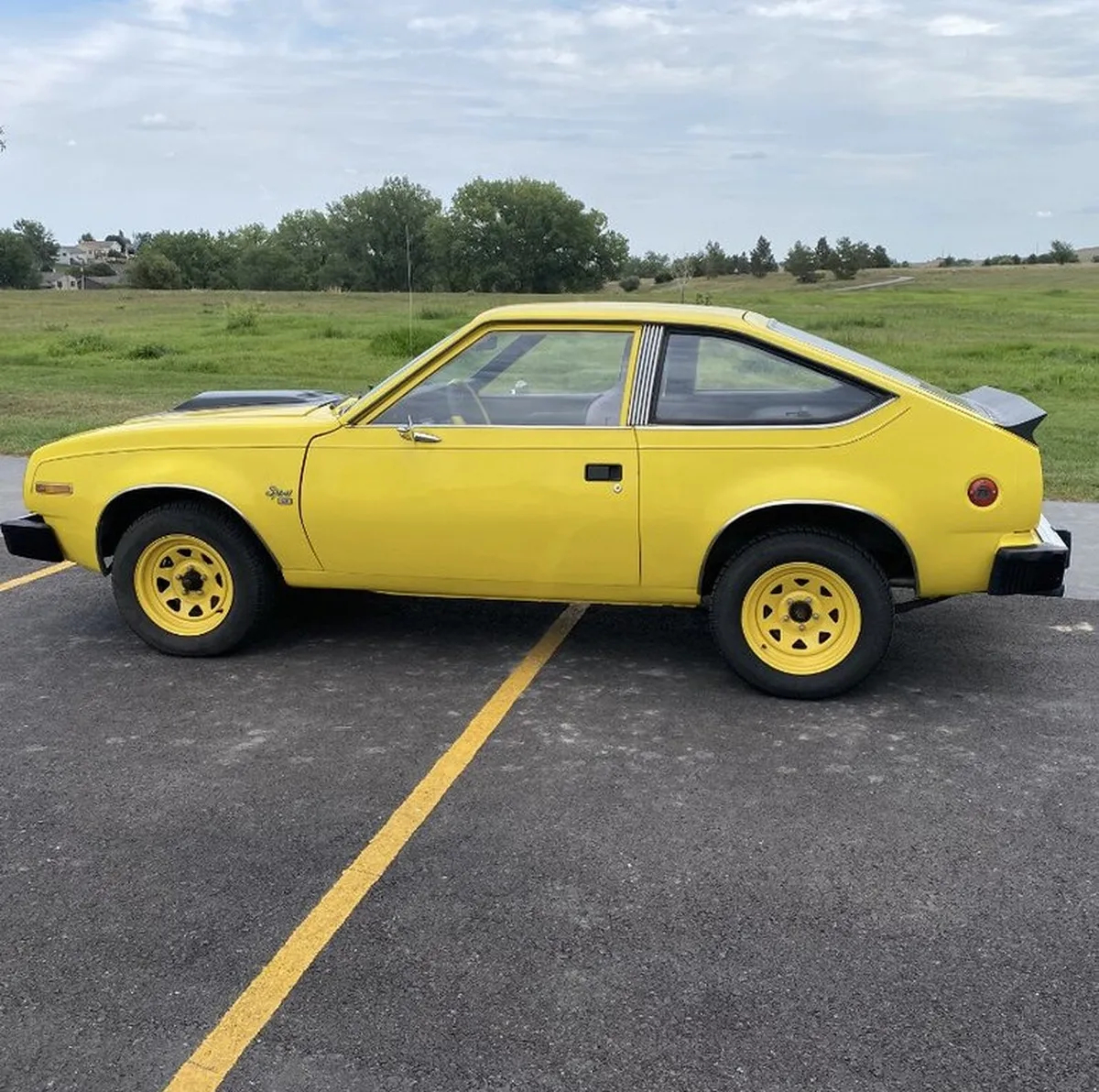 83 AMCSy - 2