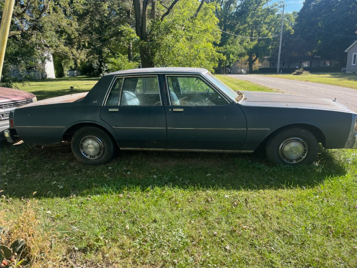 84 CIb - 1