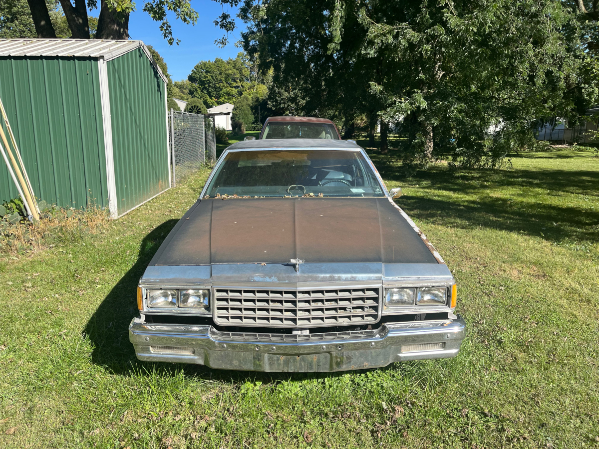 84 CIb - 2