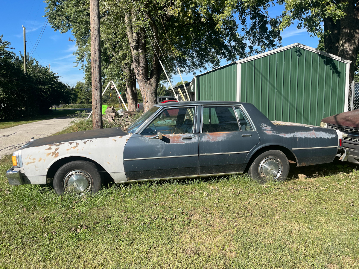 84 CIb - 3