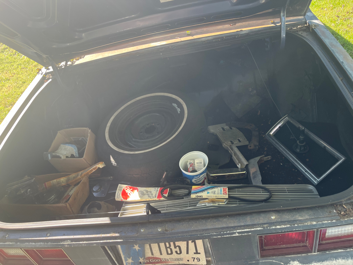 84 CIb - 5