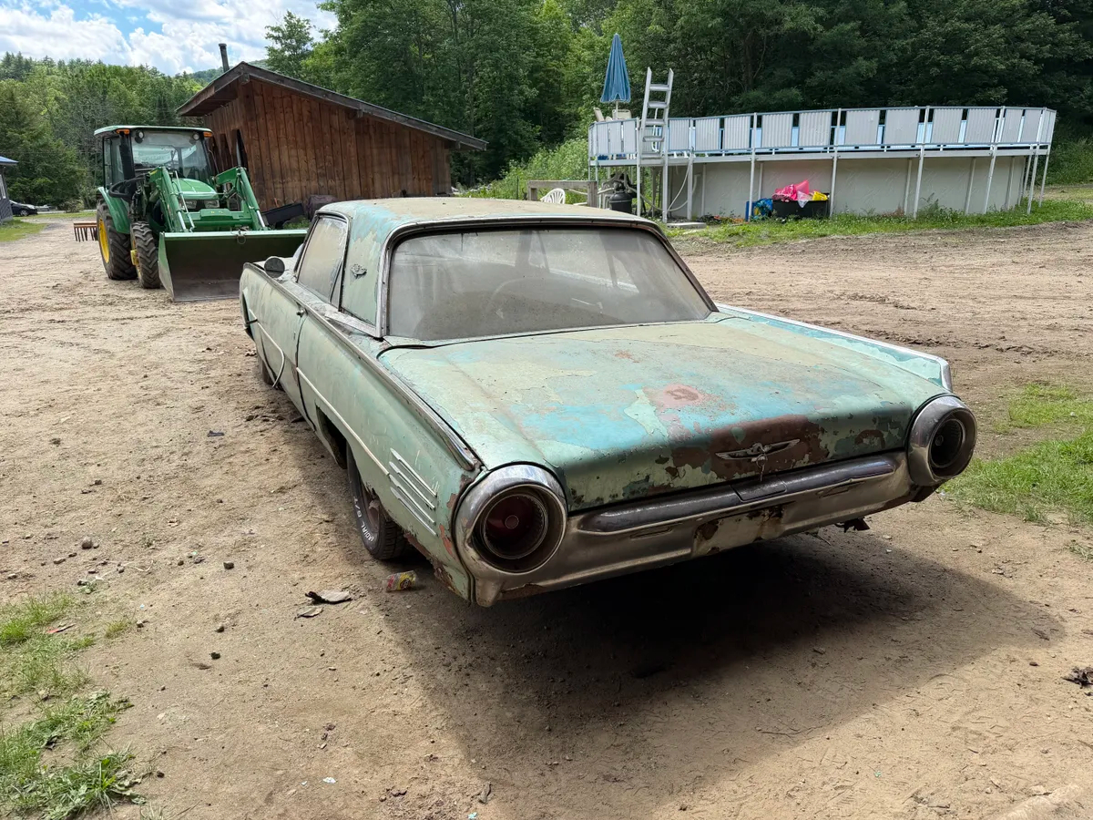 61 FTBP - 2